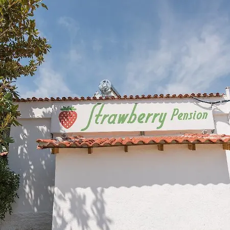 Πανσιόν Strawberry Skiathos 4*